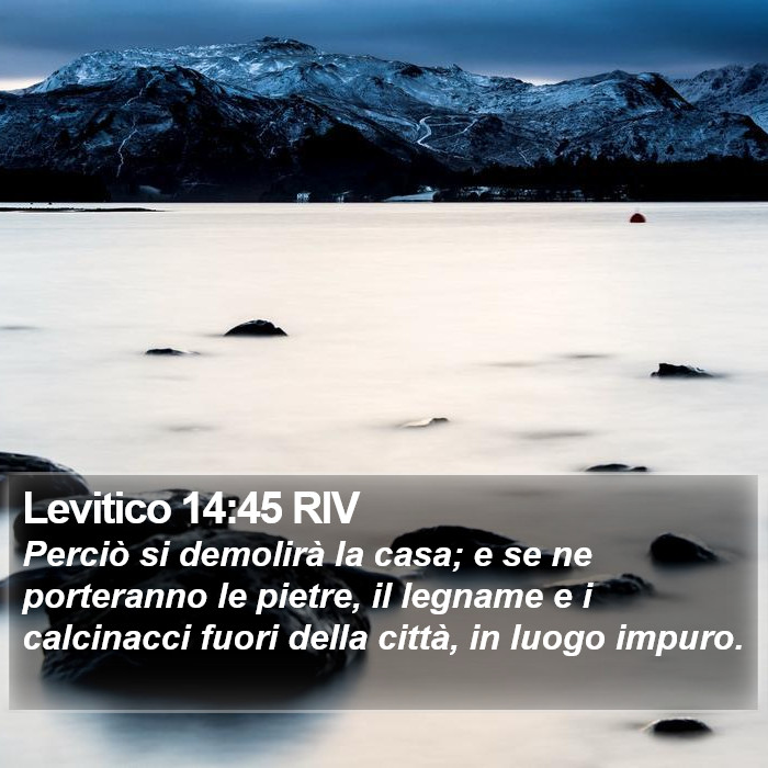 Levitico 14:45 RIV Bible Study