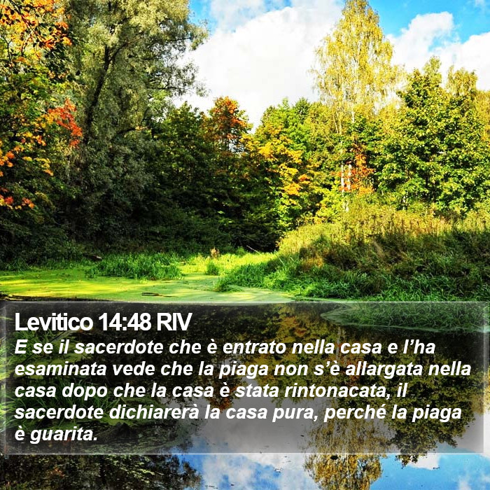 Levitico 14:48 RIV Bible Study