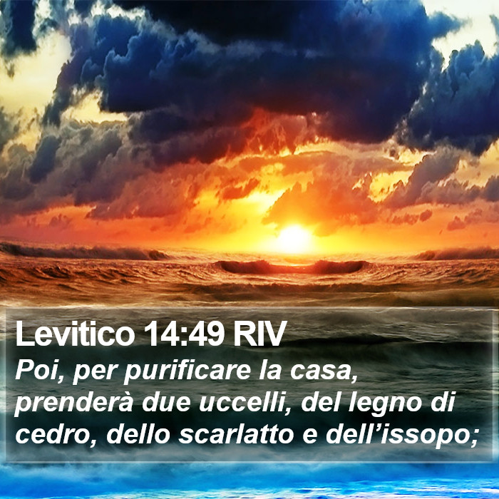 Levitico 14:49 RIV Bible Study