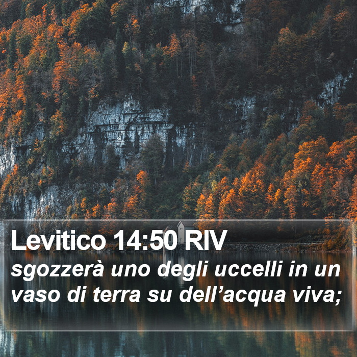 Levitico 14:50 RIV Bible Study