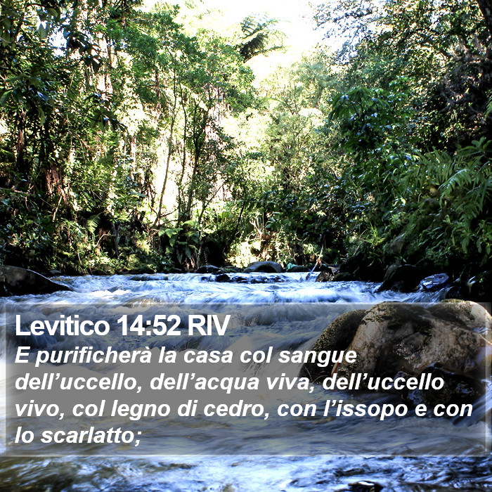 Levitico 14:52 RIV Bible Study