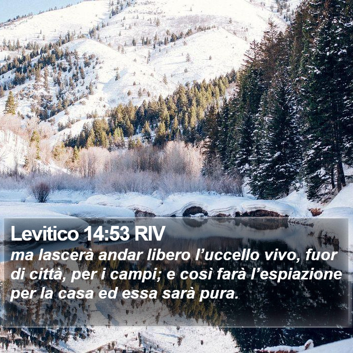 Levitico 14:53 RIV Bible Study