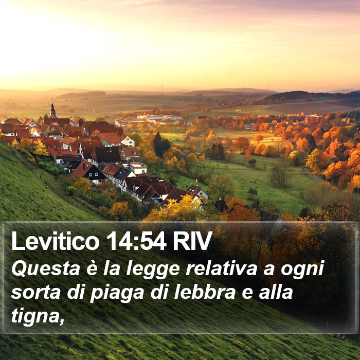 Levitico 14:54 RIV Bible Study