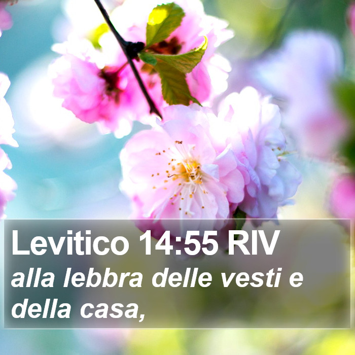 Levitico 14:55 RIV Bible Study