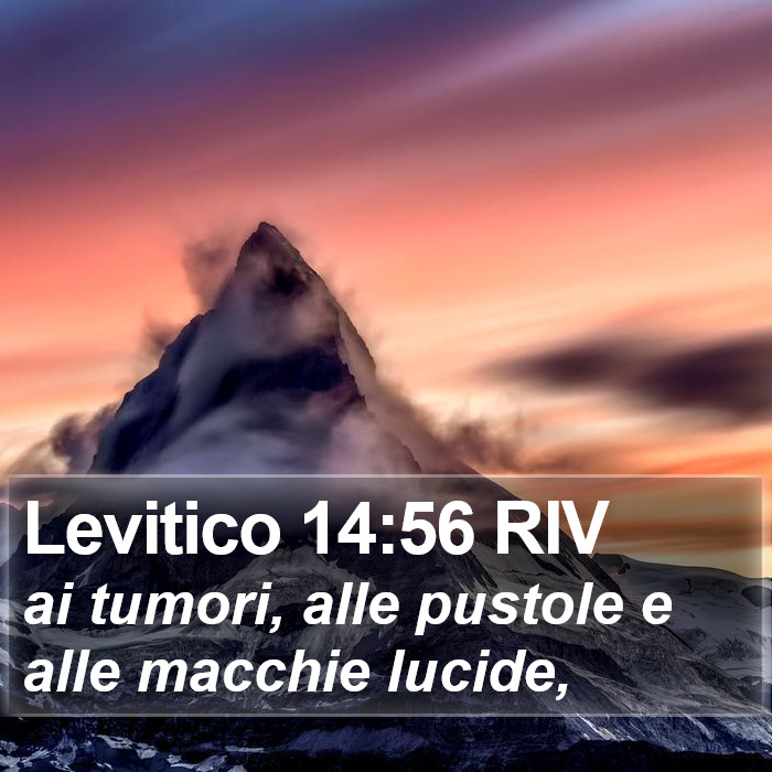 Levitico 14:56 RIV Bible Study