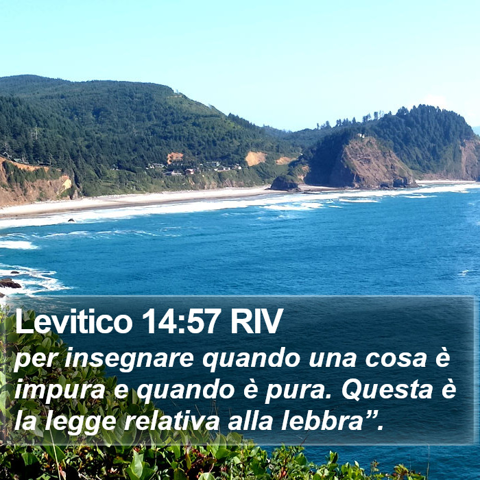 Levitico 14:57 RIV Bible Study