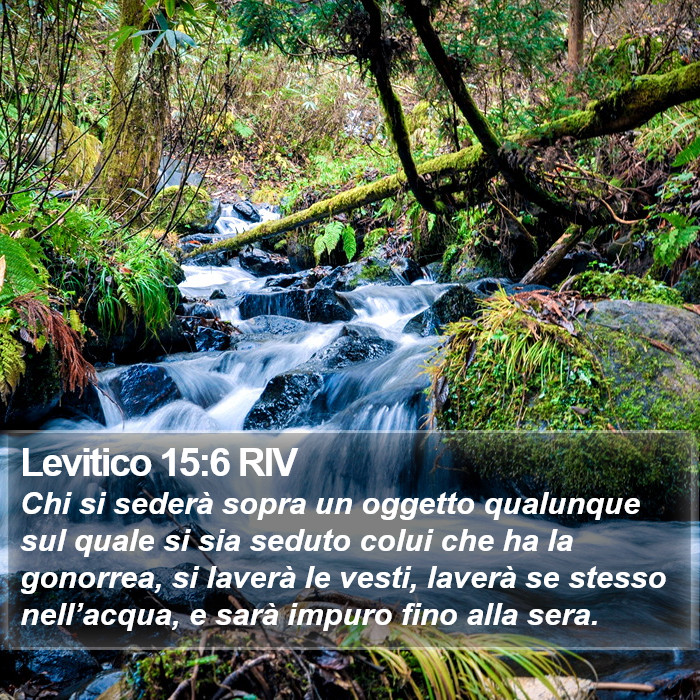 Levitico 15:6 RIV Bible Study