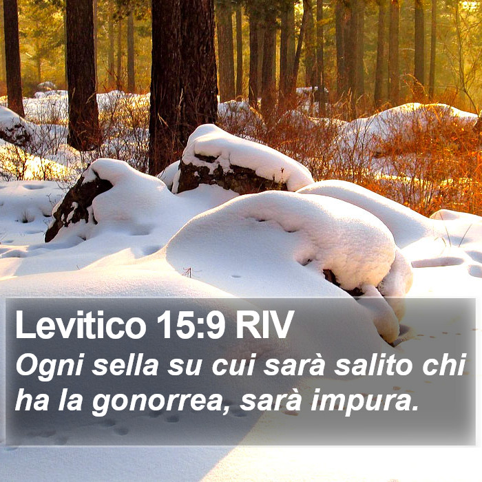 Levitico 15:9 RIV Bible Study