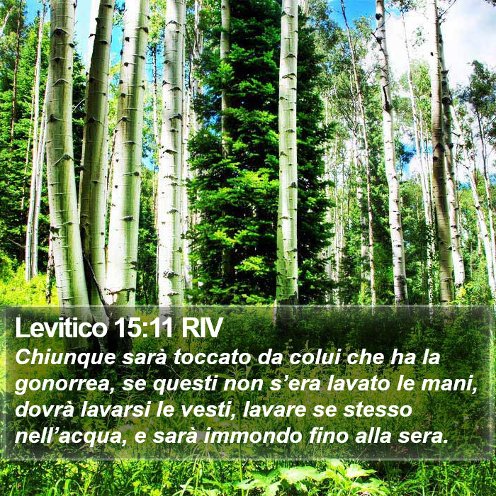 Levitico 15:11 RIV Bible Study
