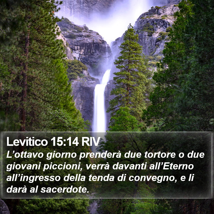 Levitico 15:14 RIV Bible Study