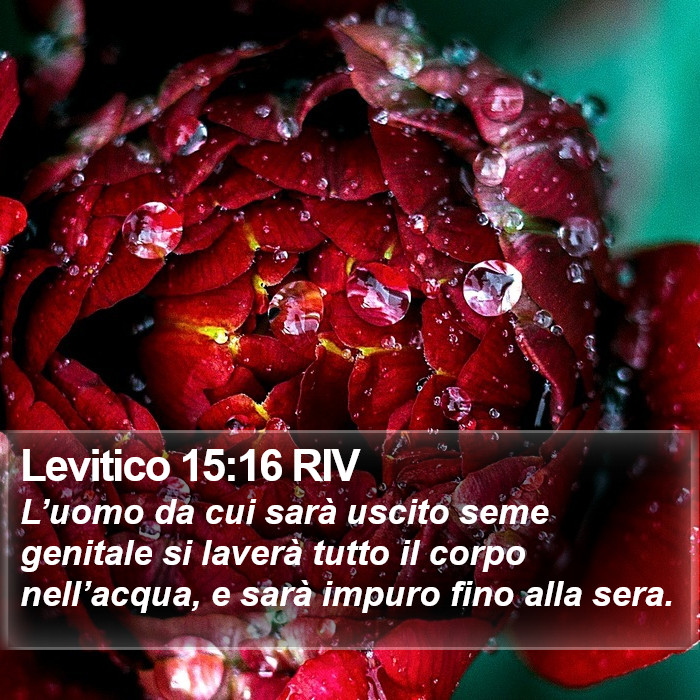 Levitico 15:16 RIV Bible Study