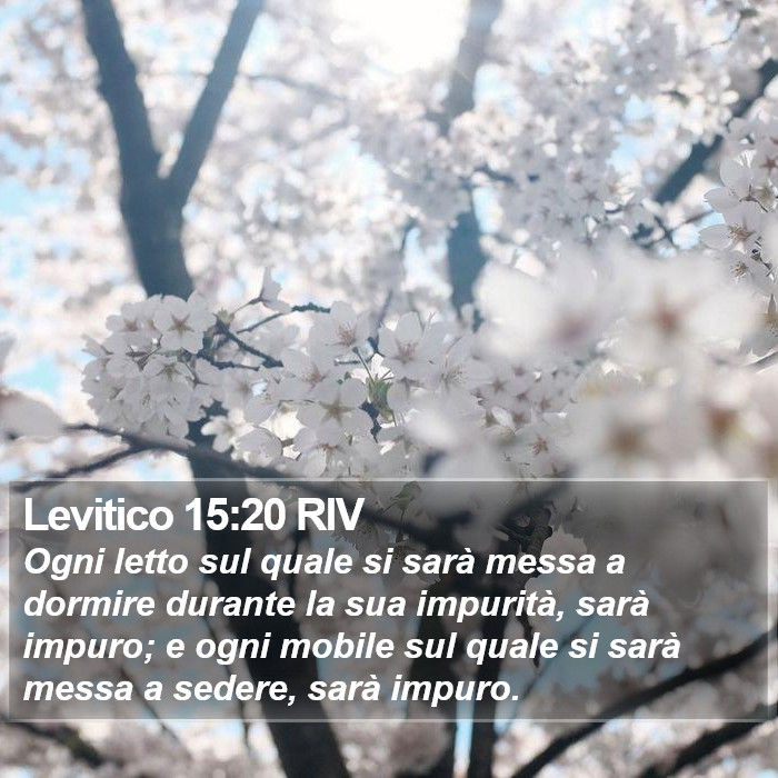 Levitico 15:20 RIV Bible Study