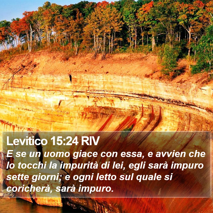 Levitico 15:24 RIV Bible Study