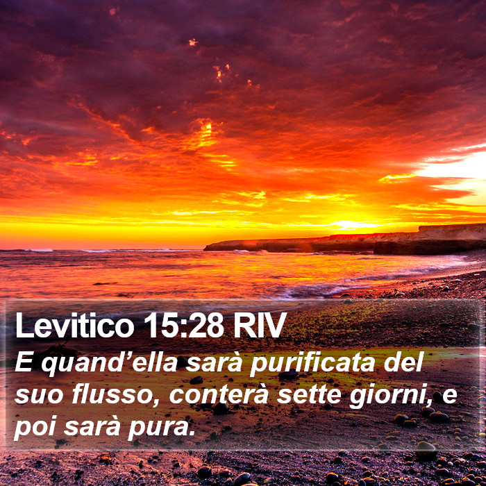 Levitico 15:28 RIV Bible Study