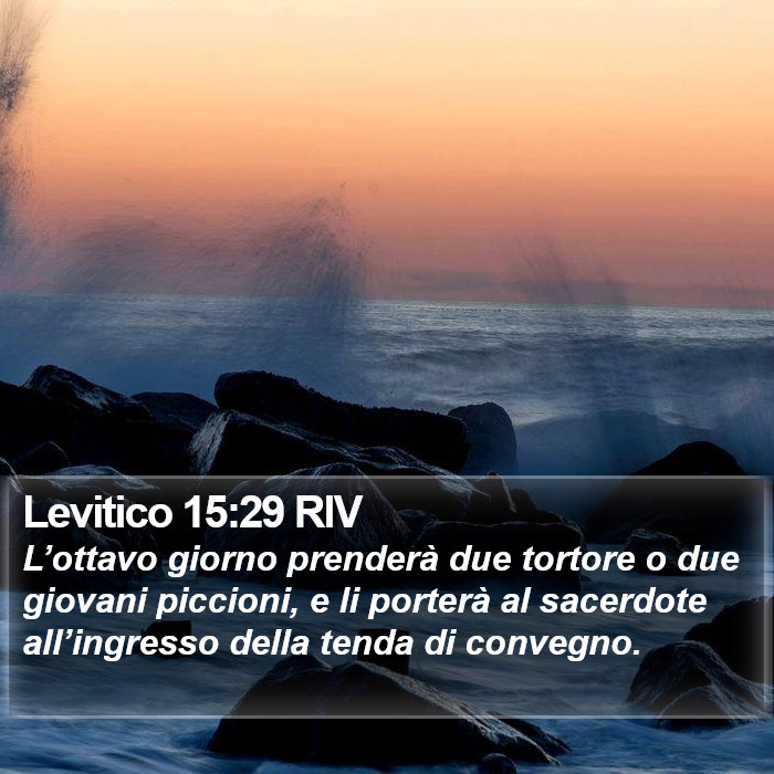 Levitico 15:29 RIV Bible Study