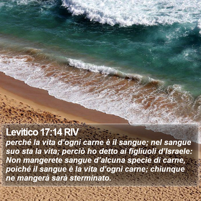 Levitico 17:14 RIV Bible Study