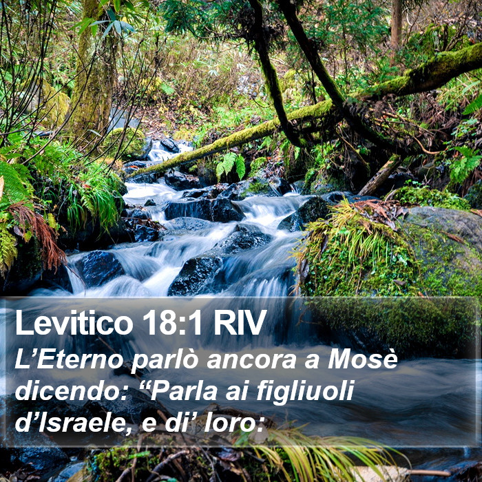 Levitico 18:1 RIV Bible Study