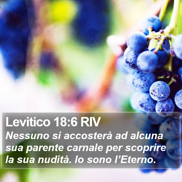 Levitico 18:6 RIV Bible Study