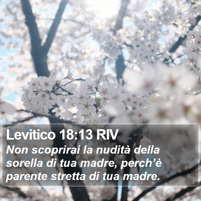 Levitico 18:13 RIV Bible Study