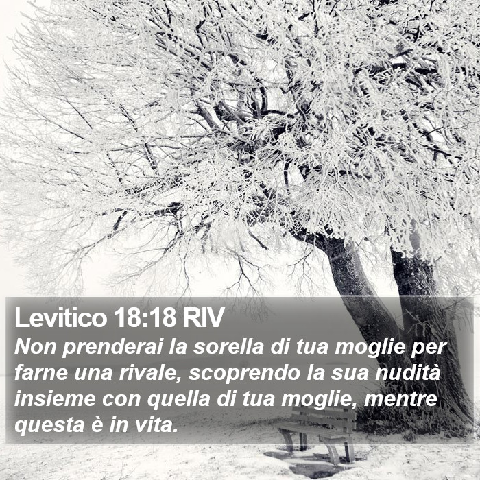 Levitico 18:18 RIV Bible Study