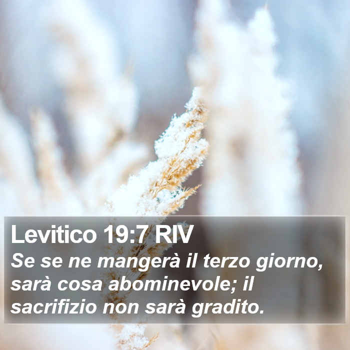 Levitico 19:7 RIV Bible Study