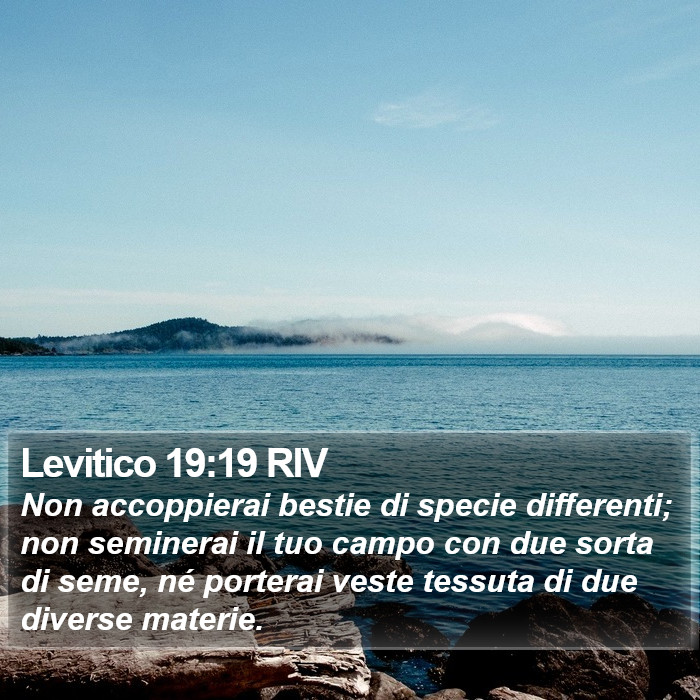 Levitico 19:19 RIV Bible Study