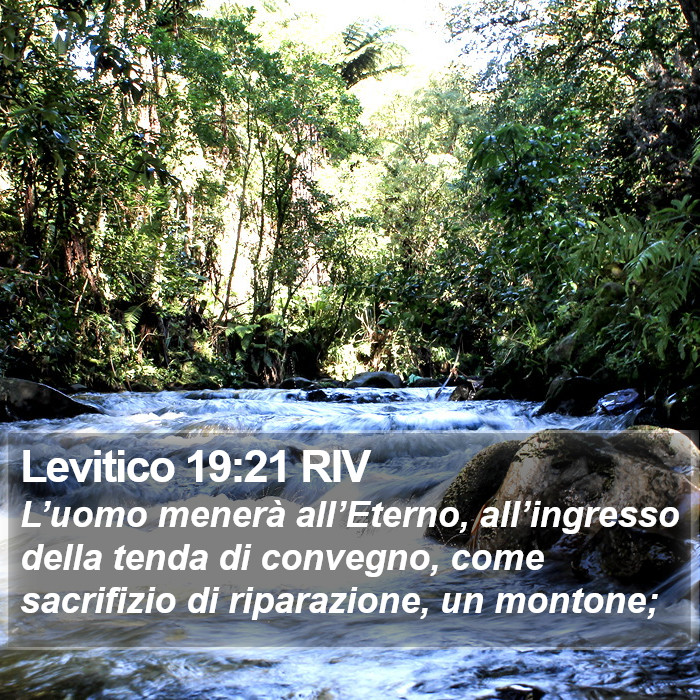 Levitico 19:21 RIV Bible Study