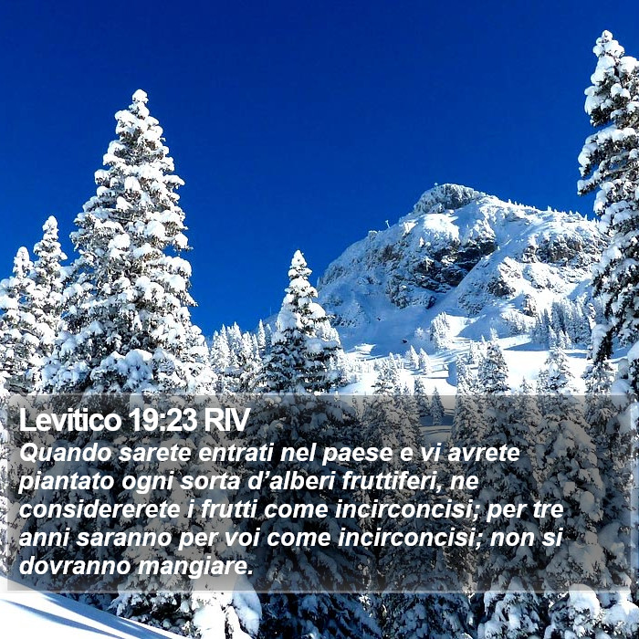 Levitico 19:23 RIV Bible Study