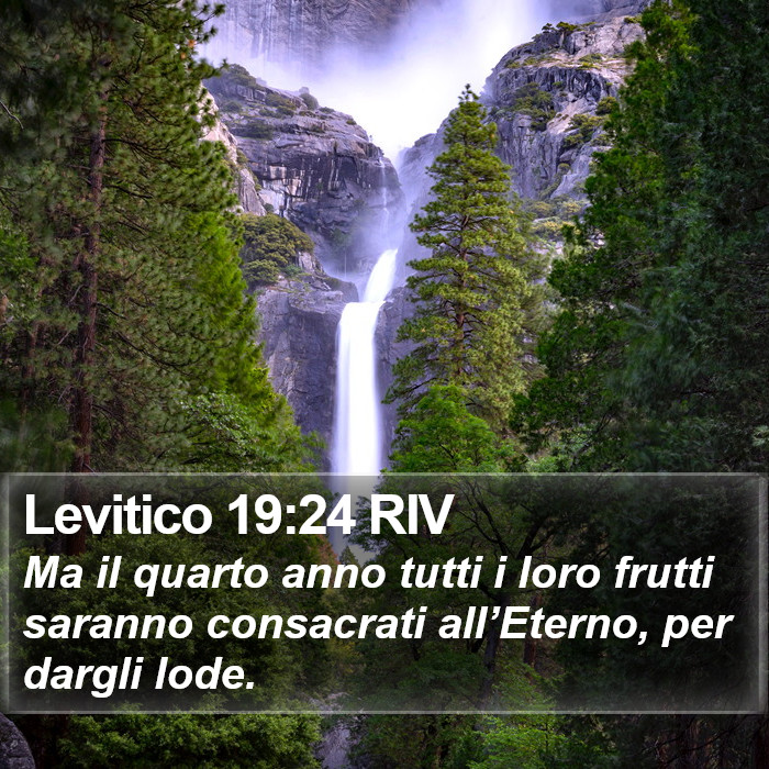 Levitico 19:24 RIV Bible Study