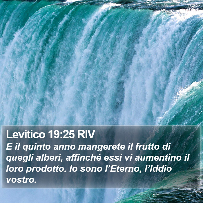 Levitico 19:25 RIV Bible Study