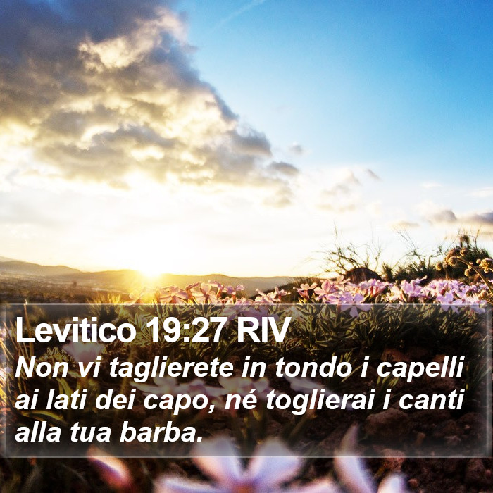 Levitico 19:27 RIV Bible Study