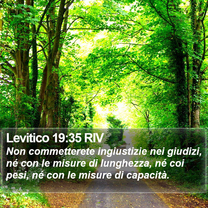 Levitico 19:35 RIV Bible Study