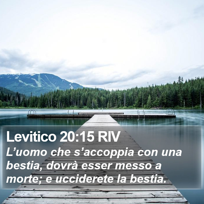 Levitico 20:15 RIV Bible Study