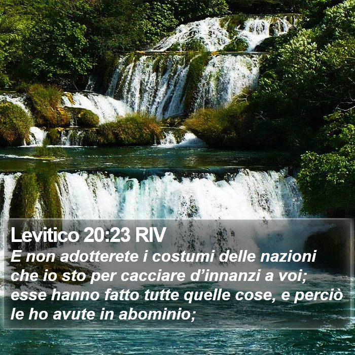 Levitico 20:23 RIV Bible Study