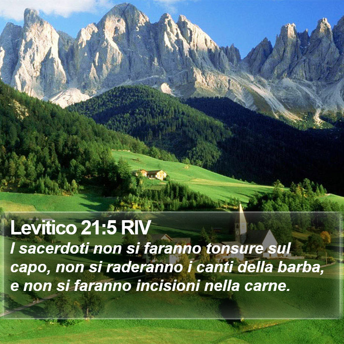 Levitico 21:5 RIV Bible Study