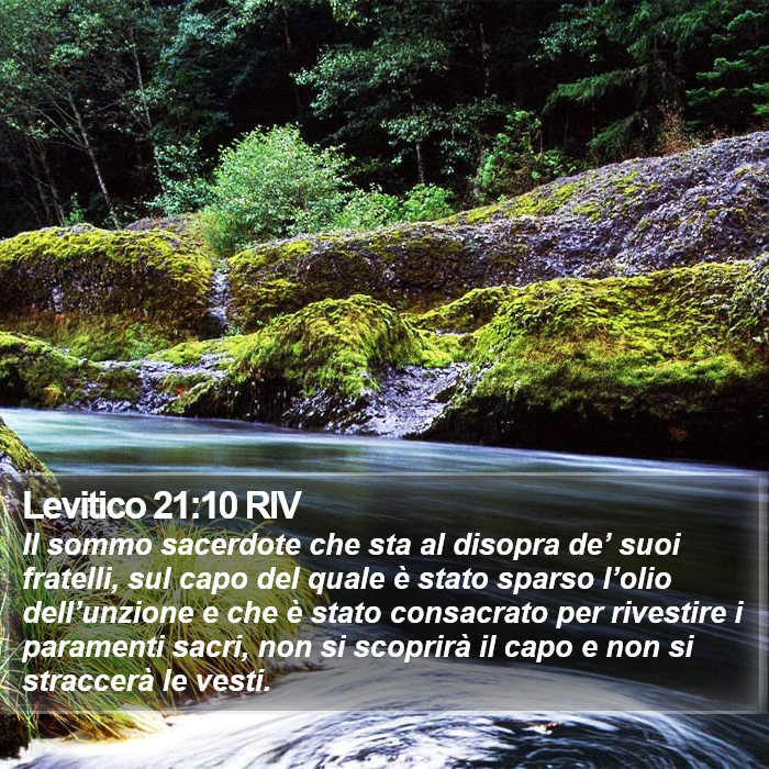 Levitico 21:10 RIV Bible Study