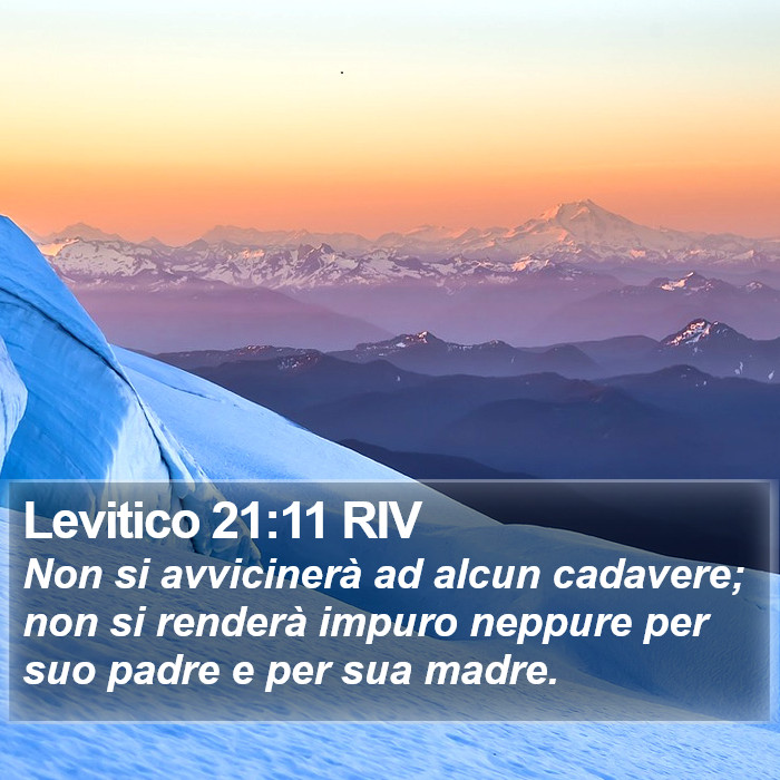 Levitico 21:11 RIV Bible Study