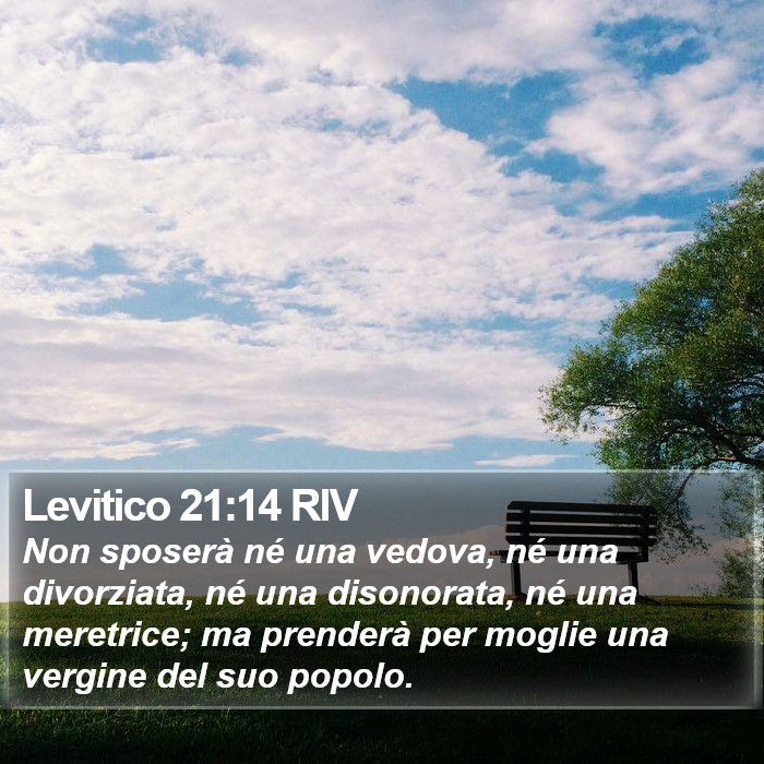 Levitico 21:14 RIV Bible Study