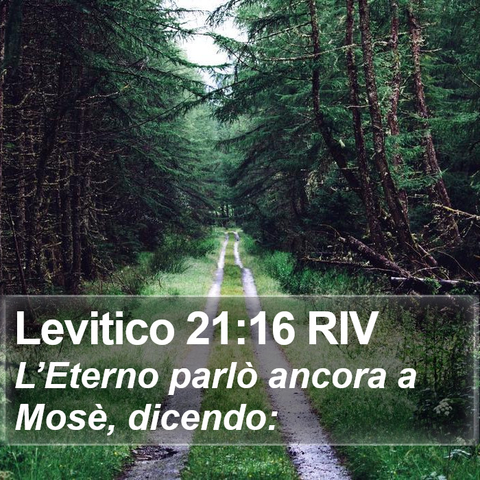 Levitico 21:16 RIV Bible Study
