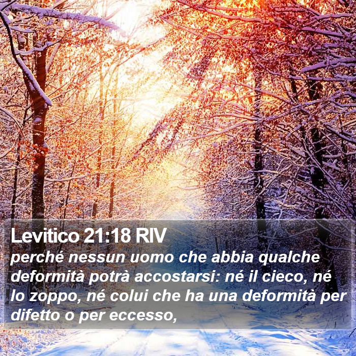 Levitico 21:18 RIV Bible Study