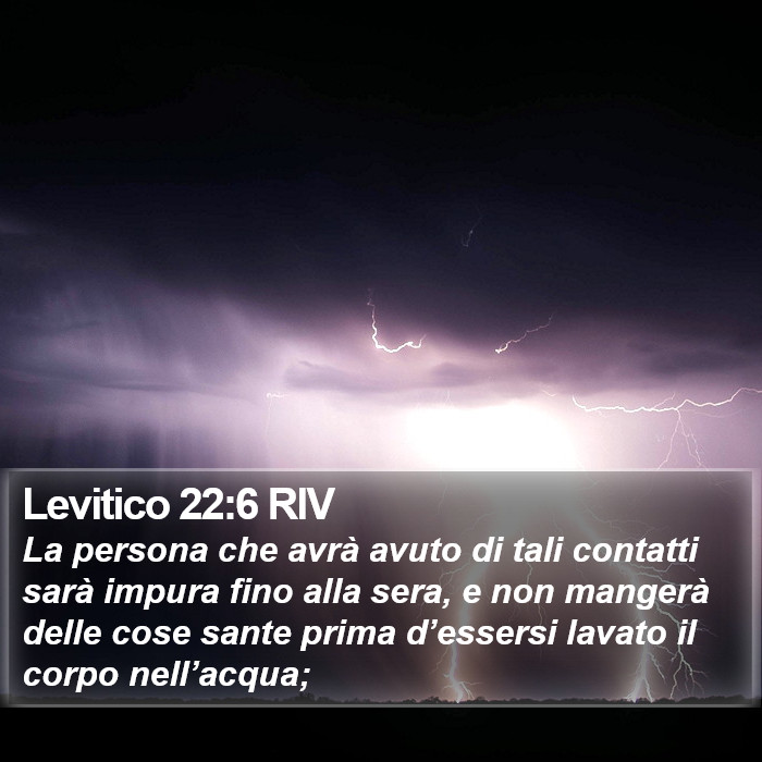 Levitico 22:6 RIV Bible Study