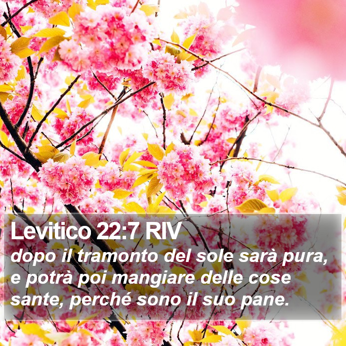 Levitico 22:7 RIV Bible Study