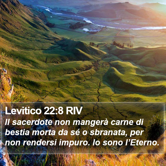 Levitico 22:8 RIV Bible Study