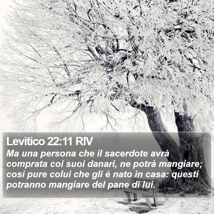 Levitico 22:11 RIV Bible Study