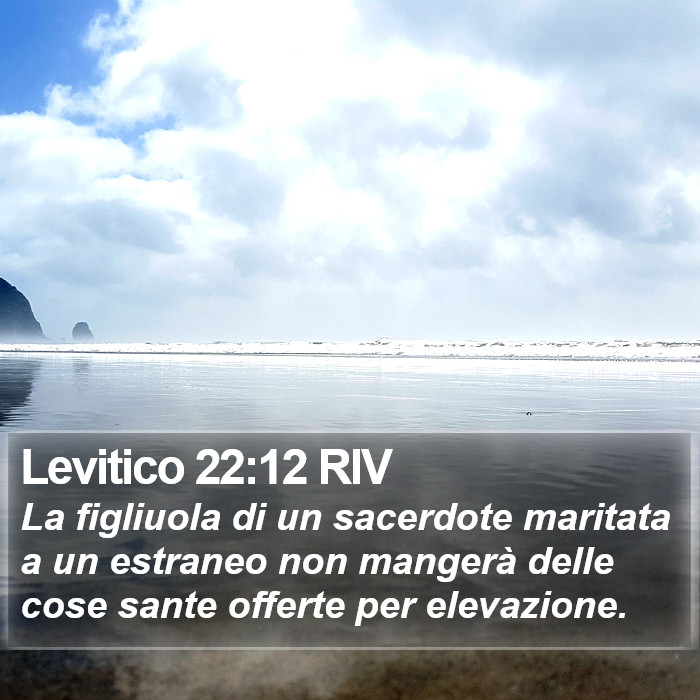 Levitico 22:12 RIV Bible Study