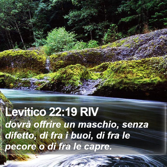 Levitico 22:19 RIV Bible Study