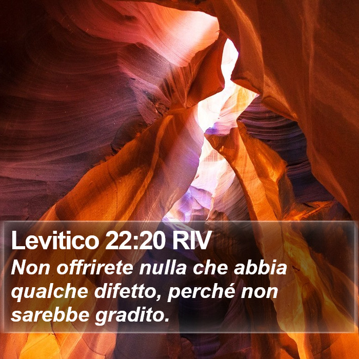 Levitico 22:20 RIV Bible Study