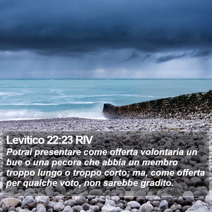 Levitico 22:23 RIV Bible Study