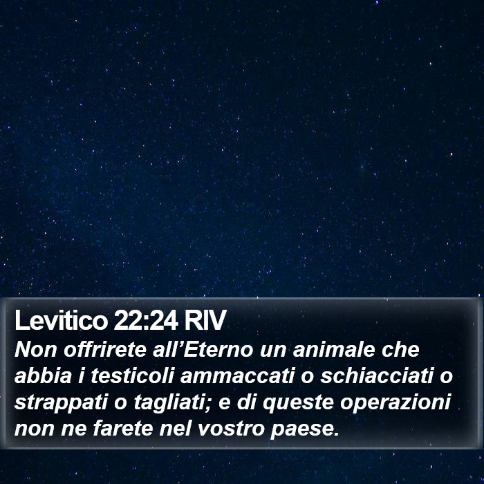 Levitico 22:24 RIV Bible Study