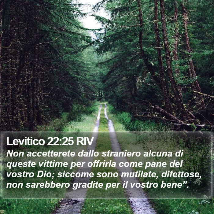 Levitico 22:25 RIV Bible Study